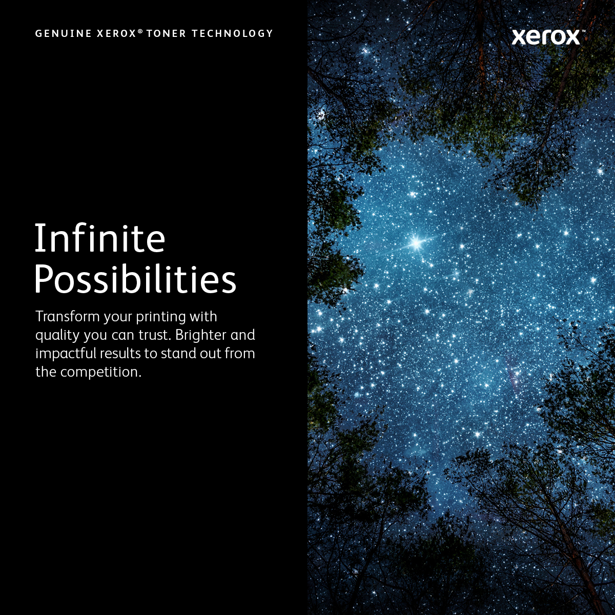 Xerox B310/B305/B315 hoge capaciteit tonercassette, zwart (8.000 pagina's) - Afbeelding 3