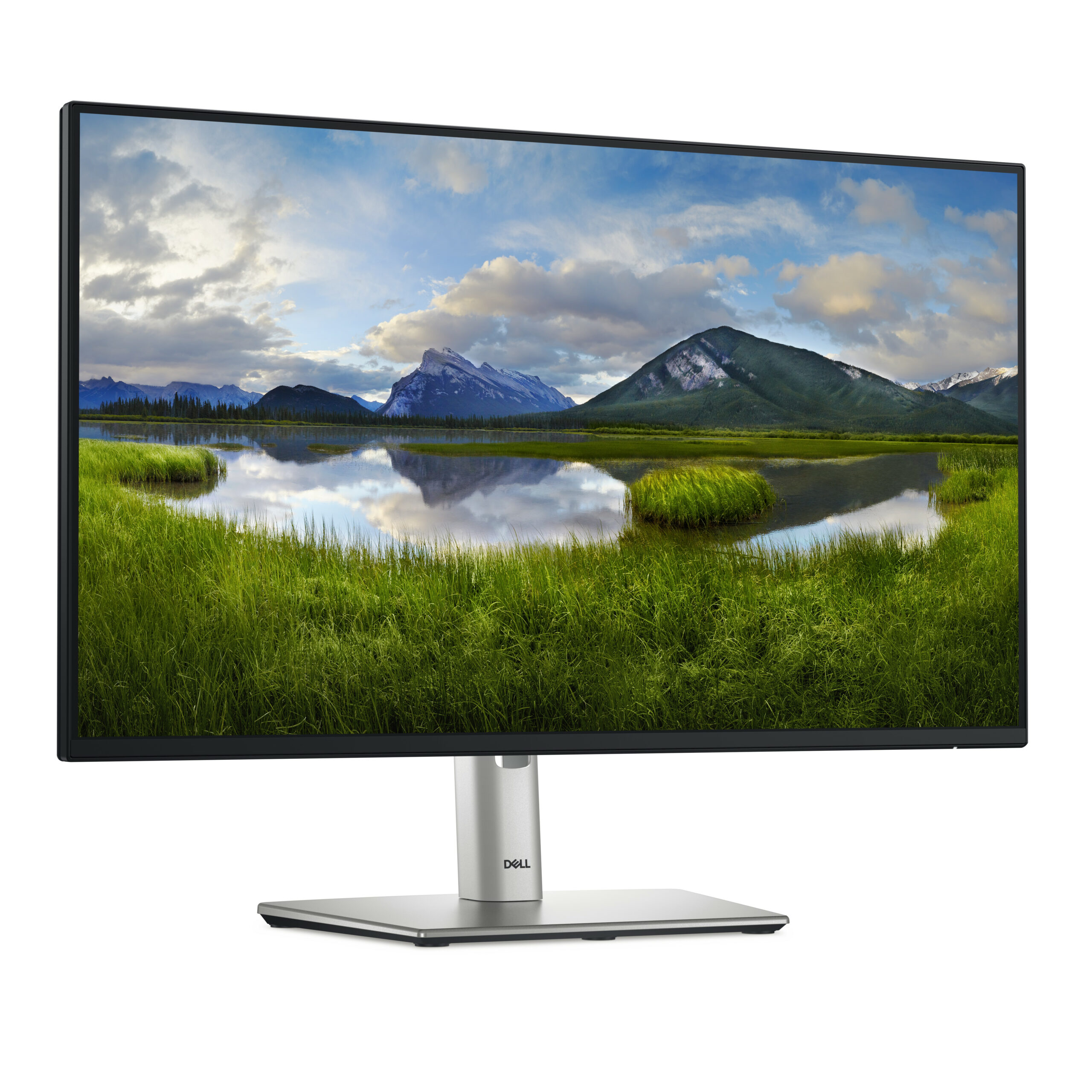 DELL Pro Plus P2425HE computer monitor 60,5 cm (23.8") 1920 x 1080 Pixels Full HD LCD Zwart - Afbeelding 4