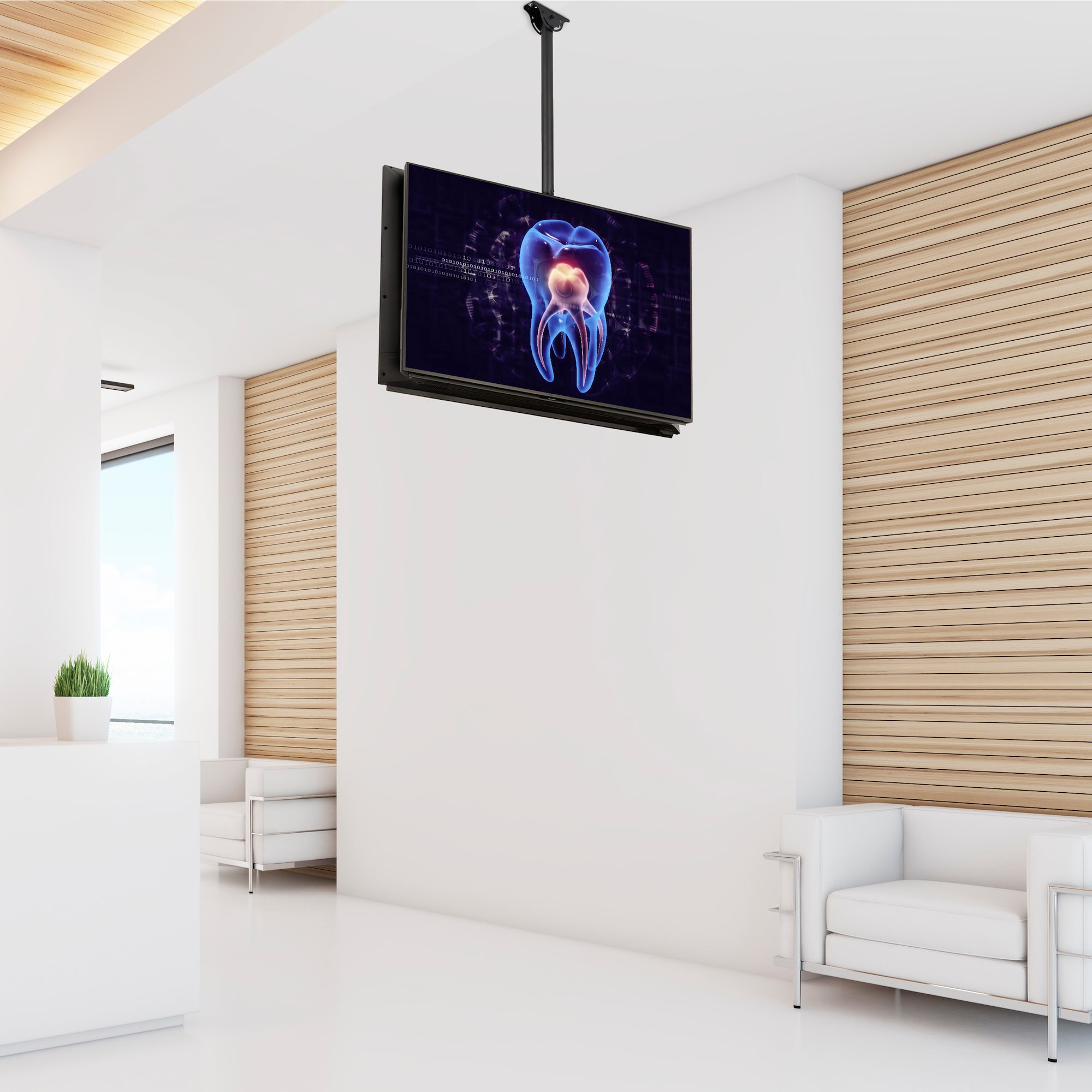 StarTech.com Dual TV Plafondbeugel, Rug-aan-Rug Heavy-Duty Ophangbeugel, VESA Beugel voor Dual 32"-75" TVs / Displays, Kantelen/Draaien/Roteren, In hoogte verstelbare telescopische paal - Afbeelding 9