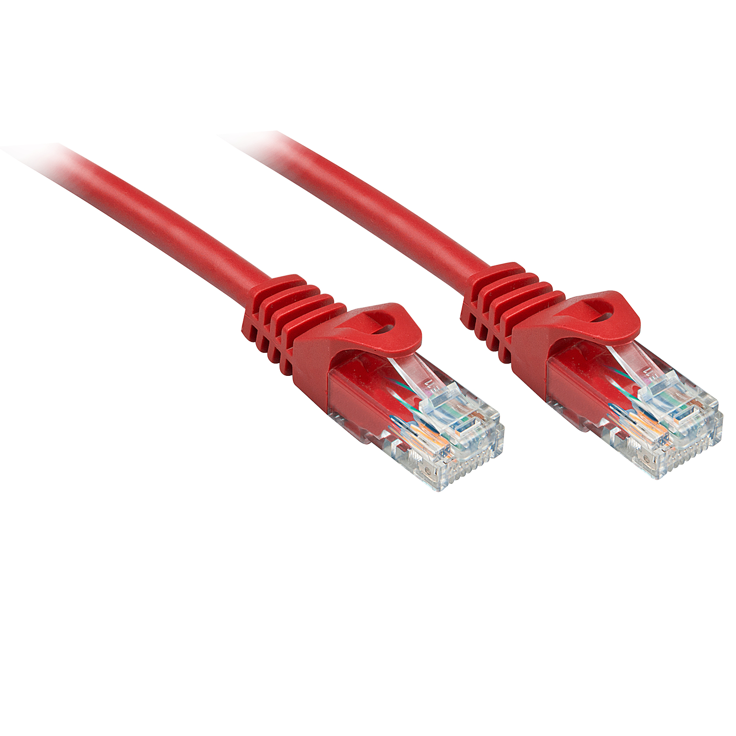 Lindy 48181 netwerkkabel Rood 0,5 m Cat6 U/UTP (UTP) - Afbeelding 2