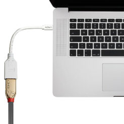 Lindy 41021 DisplayPort kabel 0,15 m Mini DisplayPort Wit - Afbeelding 4