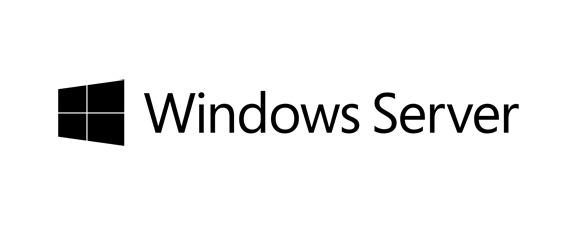 Fujitsu Windows Server 2019 RDS CAL Client Access License (CAL) 100 licentie(s)