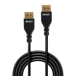 Lindy 36462 DisplayPort kabel 2 m Zwart - Afbeelding 3