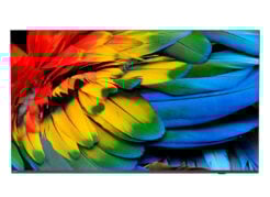 Philips 43HFL6214U 109,2 cm (43") 4K Ultra HD Smart TV Wifi Antraciet 400 cd/m² Oprolbaar scherm