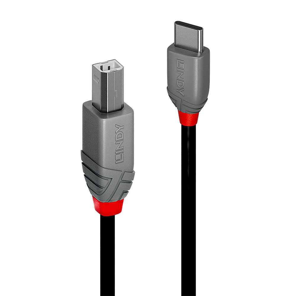 Lindy 36941 USB-kabel USB 2.0 1 m USB C USB B 0,48 Gbit/s Zwart - Afbeelding 2