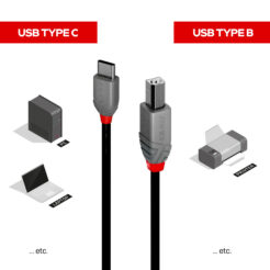 Lindy 36941 USB-kabel USB 2.0 1 m USB C USB B 0,48 Gbit/s Zwart - Afbeelding 4