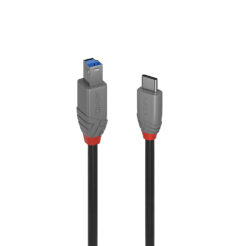 Lindy 36668 USB-kabel USB 3.2 Gen 1 (3.1 Gen 1) 3 m USB C USB B Zwart