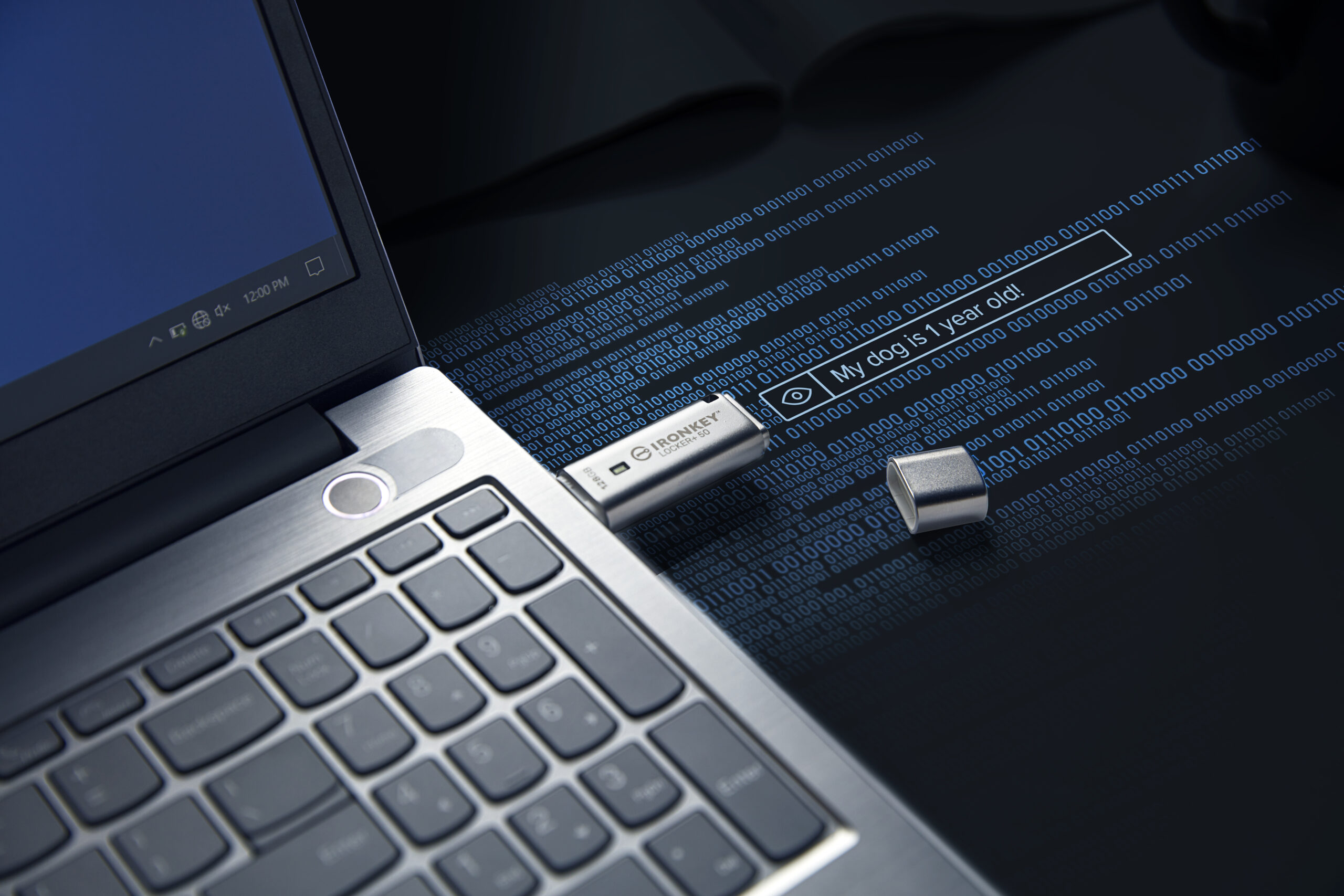 Kingston Technology IronKey 128GB IKLP50 AES USB, met 256-bits versleuteling - Afbeelding 11