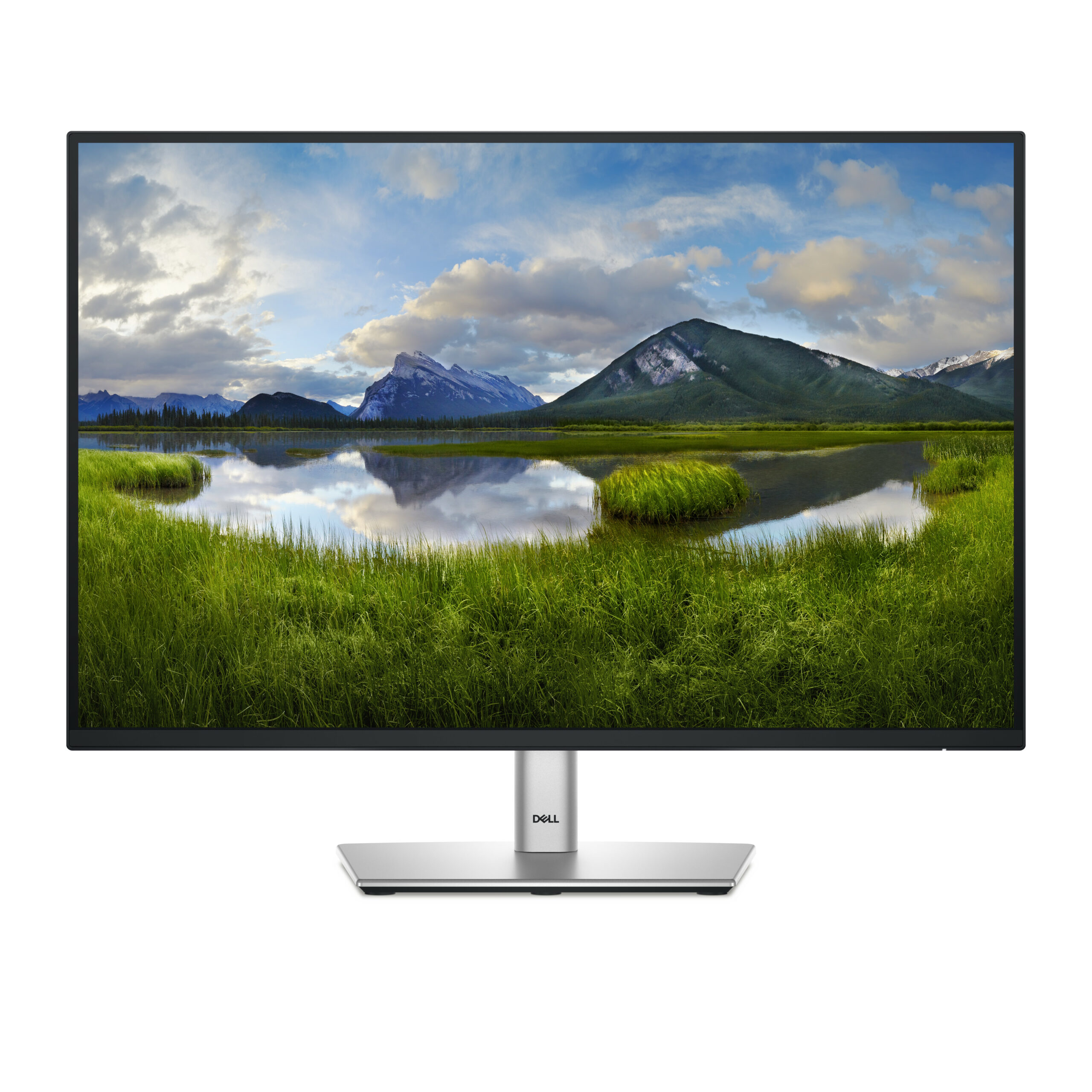 DELL Pro Plus P2425 computer monitor 61,1 cm (24.1") 1920 x 1200 Pixels WUXGA LCD Zwart