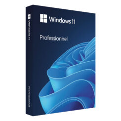 Windows 11 Pro 64Bit DSP 1pk Französisch DVD