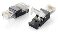 Equip 121165 kabel-connector RJ-45 Zwart, Transparant - Afbeelding 2