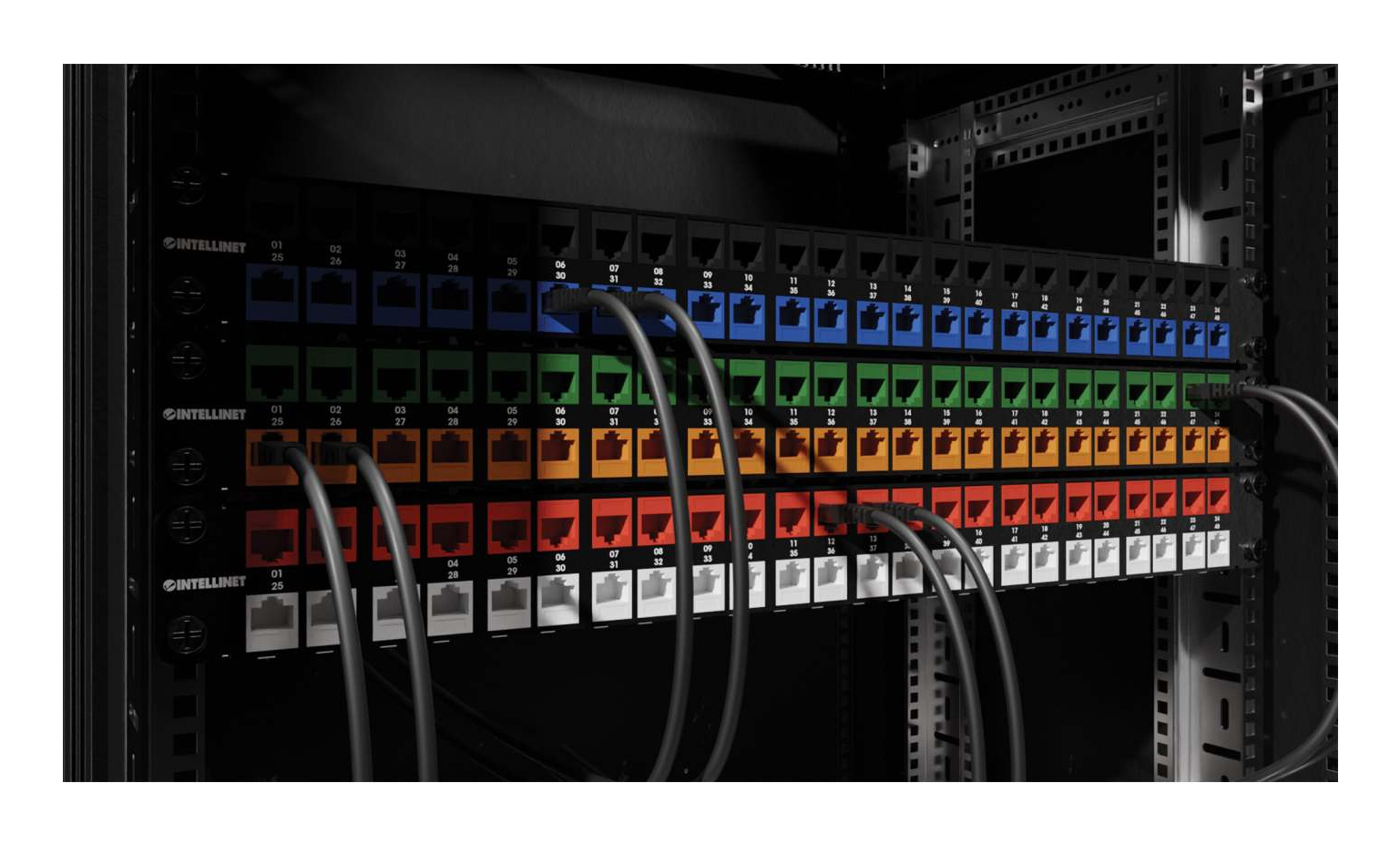 Intellinet 791311 keystonemodule - Afbeelding 8