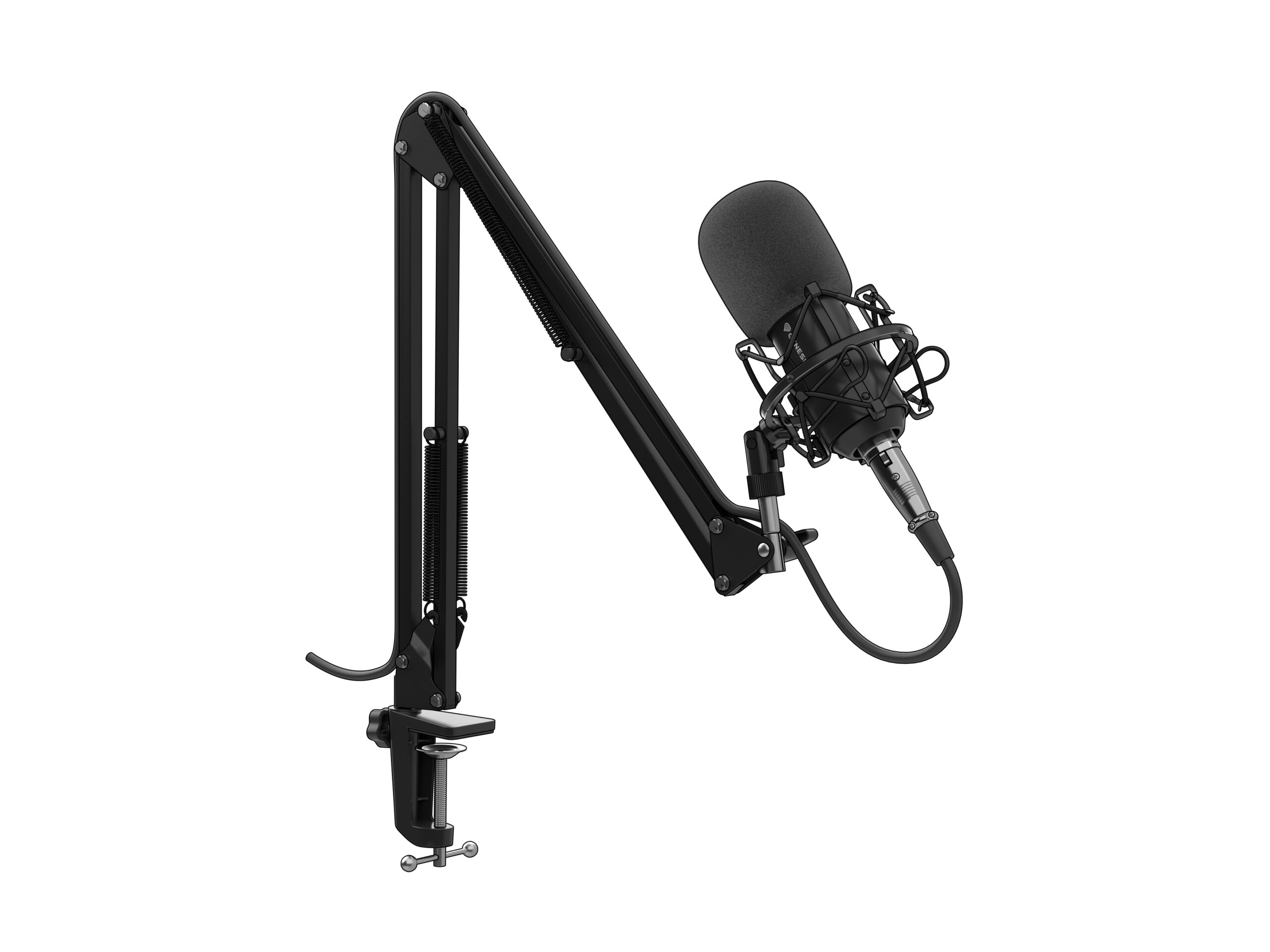 GENESIS Radium 300 XLR Zwart Microfoon voor studio's - Afbeelding 3