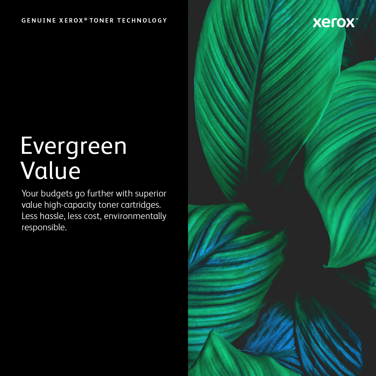 Xerox PHASER 6510 / WORKCENTRE 6515 Tonercartridge met extra hoge capaciteit, magenta (4300 pagina's) - Afbeelding 7