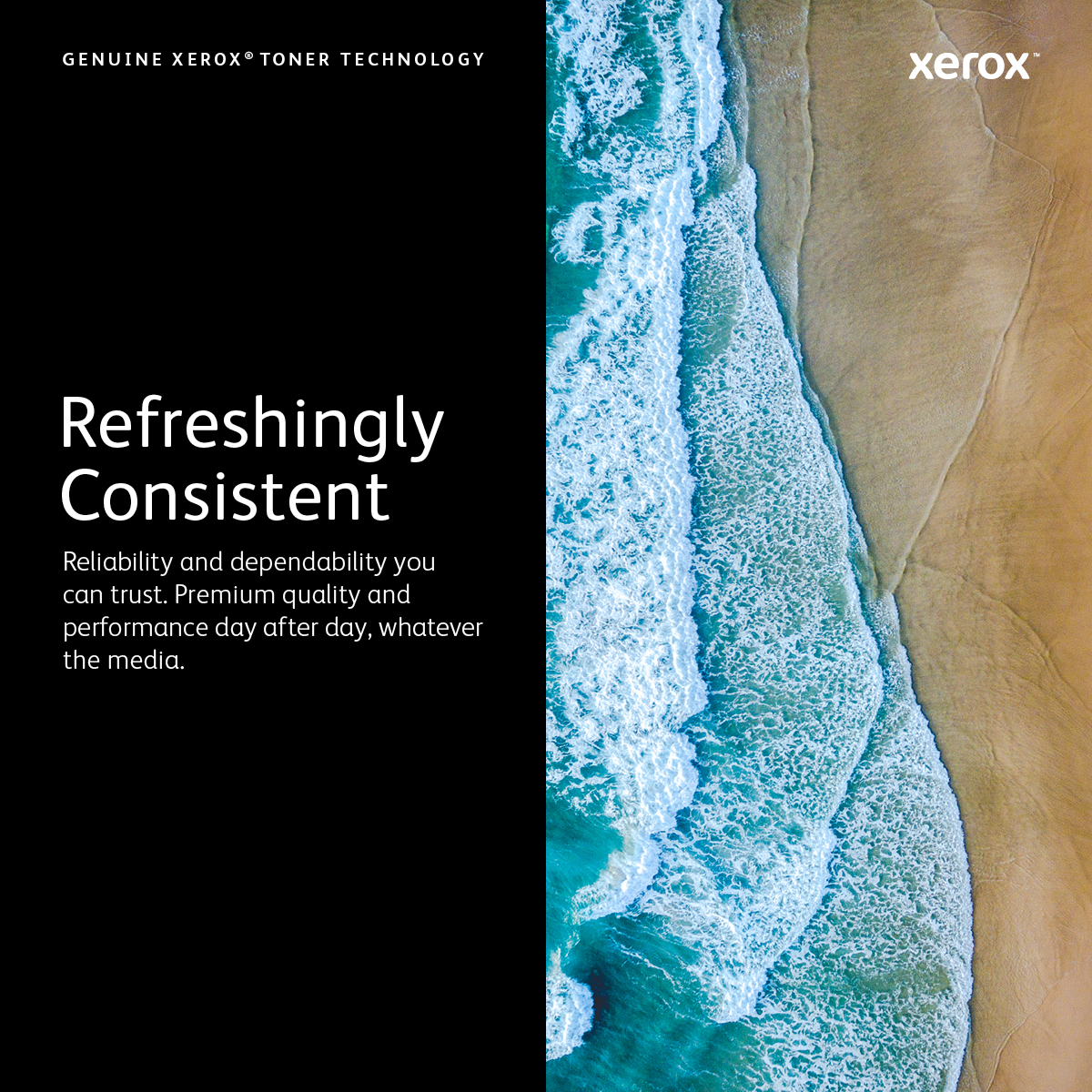 Xerox WorkCentre 6515, Phaser 6510 Tonercartridge met hoge capaciteit, Zwart (5500 pagina's) - Afbeelding 5