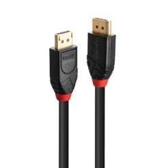 Lindy 41169 DisplayPort kabel 10 m Zwart - Afbeelding 2