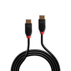 Lindy 41169 DisplayPort kabel 10 m Zwart - Afbeelding 3