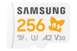 Samsung Sonic the Hedgehog™ PRO Plus microSD Card