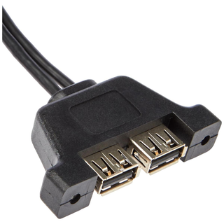 ASRock Deskmini 2x USB 2.0 Cable