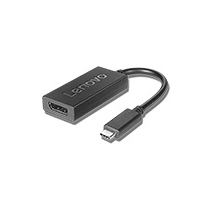 Lenovo 4X90Q93303 video kabel adapter 0,2 m USB Type-C DisplayPort Zwart