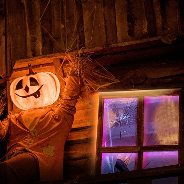 TP-Link Tapo L920-5 lichtstrip Universeel strooklicht LED 5000 mm - Afbeelding 6