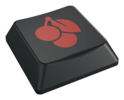 CHERRY KC 500 MX LP TKL toetsenbord Thuis/Werk USB QWERTZ Duits Zwart, Grijs - Afbeelding 8