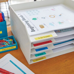 DYMO originele D1 labels | Zwarte Tekst op Groen Label | 9 mm x 7 m | zelfklevende etiketten voor de LabelManager labelprinter | gemaakt in Europa - Afbeelding 8