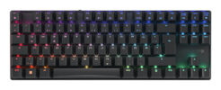 CHERRY MX 8.2 TKL Wireless RGB toetsenbord Gamen USB + RF Wireless + Bluetooth QWERTZ Duits Zwart