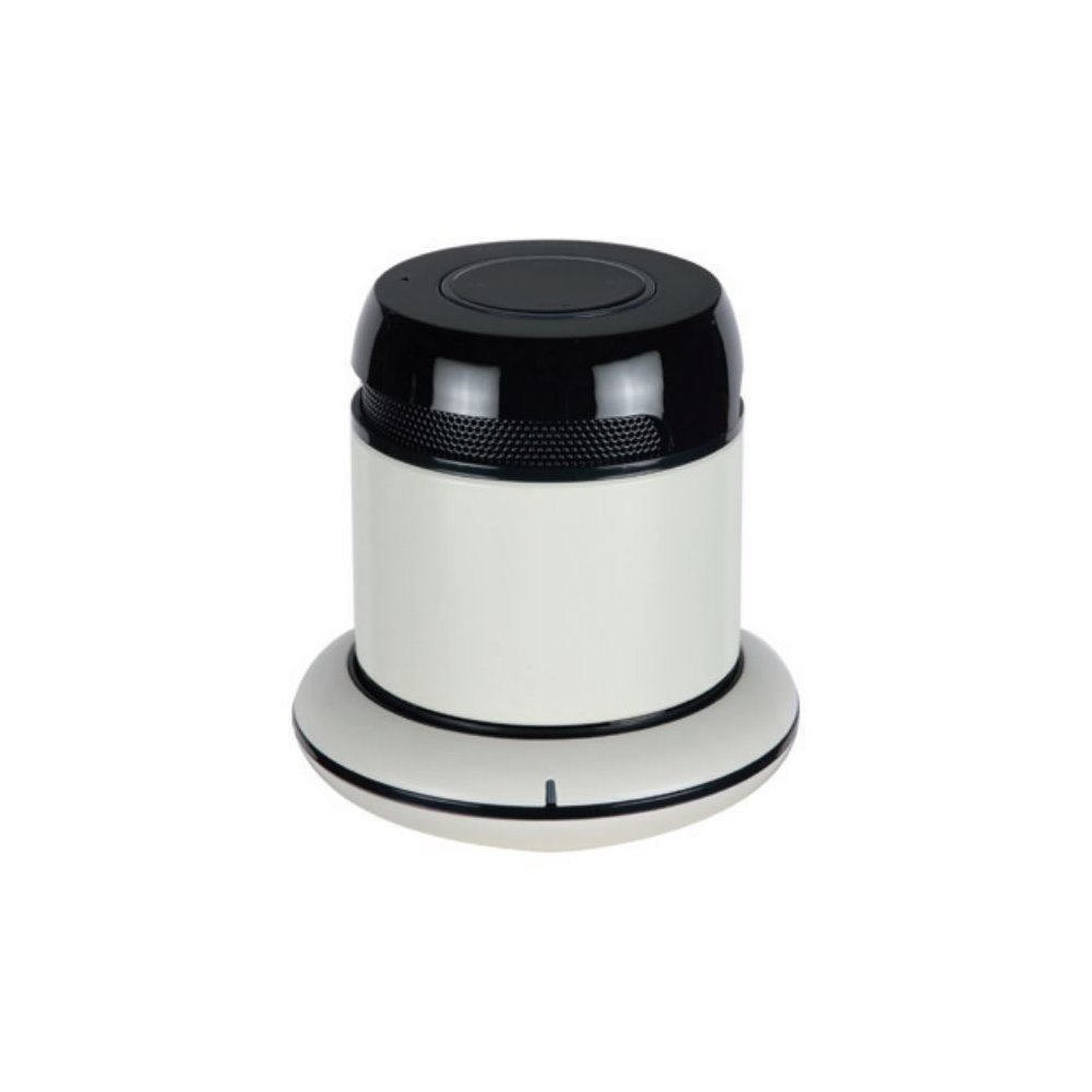 RMS 2W, Bluetooth 2.1+EDR, Integrated Microphone, AUX In, Micro USB, Lithium Polymer, Argent