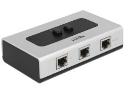 DELOCK RJ45 Switch 2->1 + 1->2 bidirektional