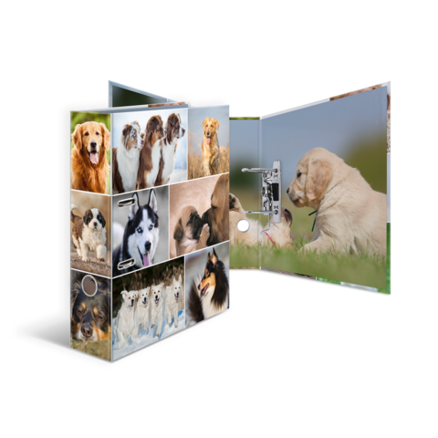 HERMA map A4 Hunde