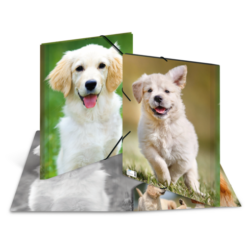 Elastomappen A3 PP - Canine