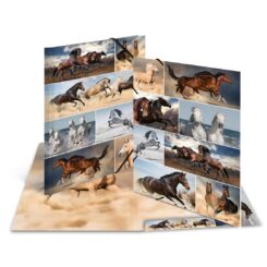 HERMA binder A3 Pferde Pappe