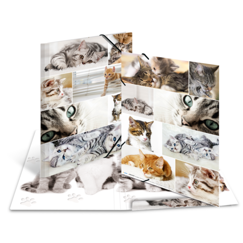 HERMA binder A3 Katzen Pappe