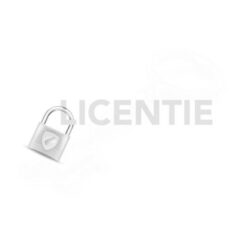 LANCOM R&S UF-300-1Y Basic License (1 Year)