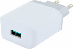 Schwaiger 230V Ladeadap.2xUSB 2.0 A Bu > 1xEurost. Type C,w/g