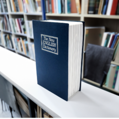 Mad Monkey - Bücher Tresor met sleutel