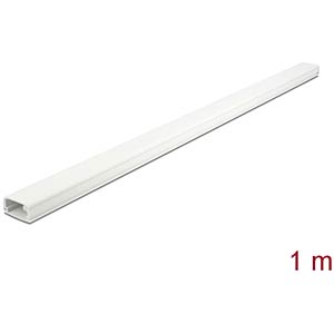 DELOCK kabelgoot met Deckel zelfklevend 26x13mm L 1m weiß