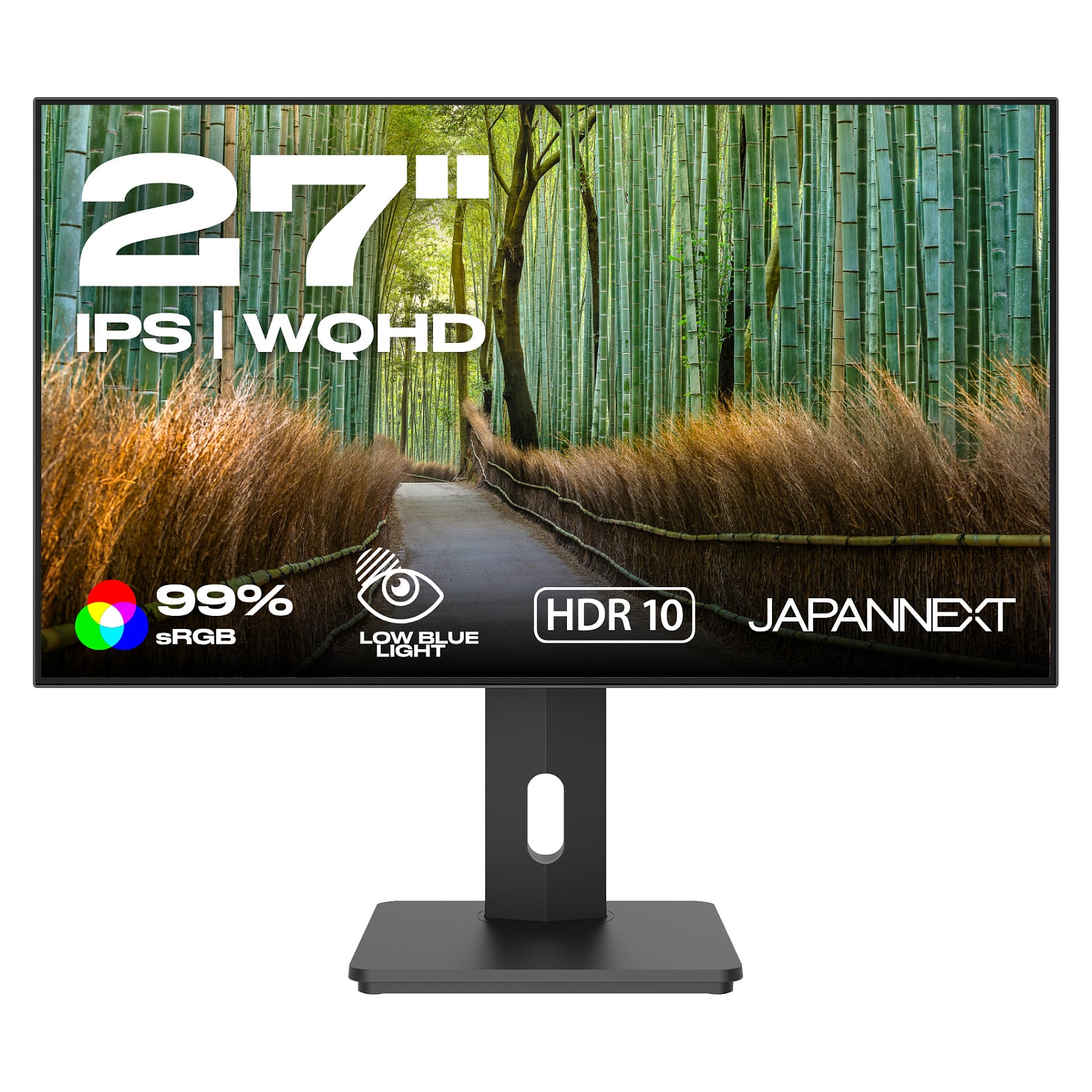 JAPANNEXT 68,5cm JN-27IPS4FLWQHDR-HSP 16:9 HDMI/DP WQHD