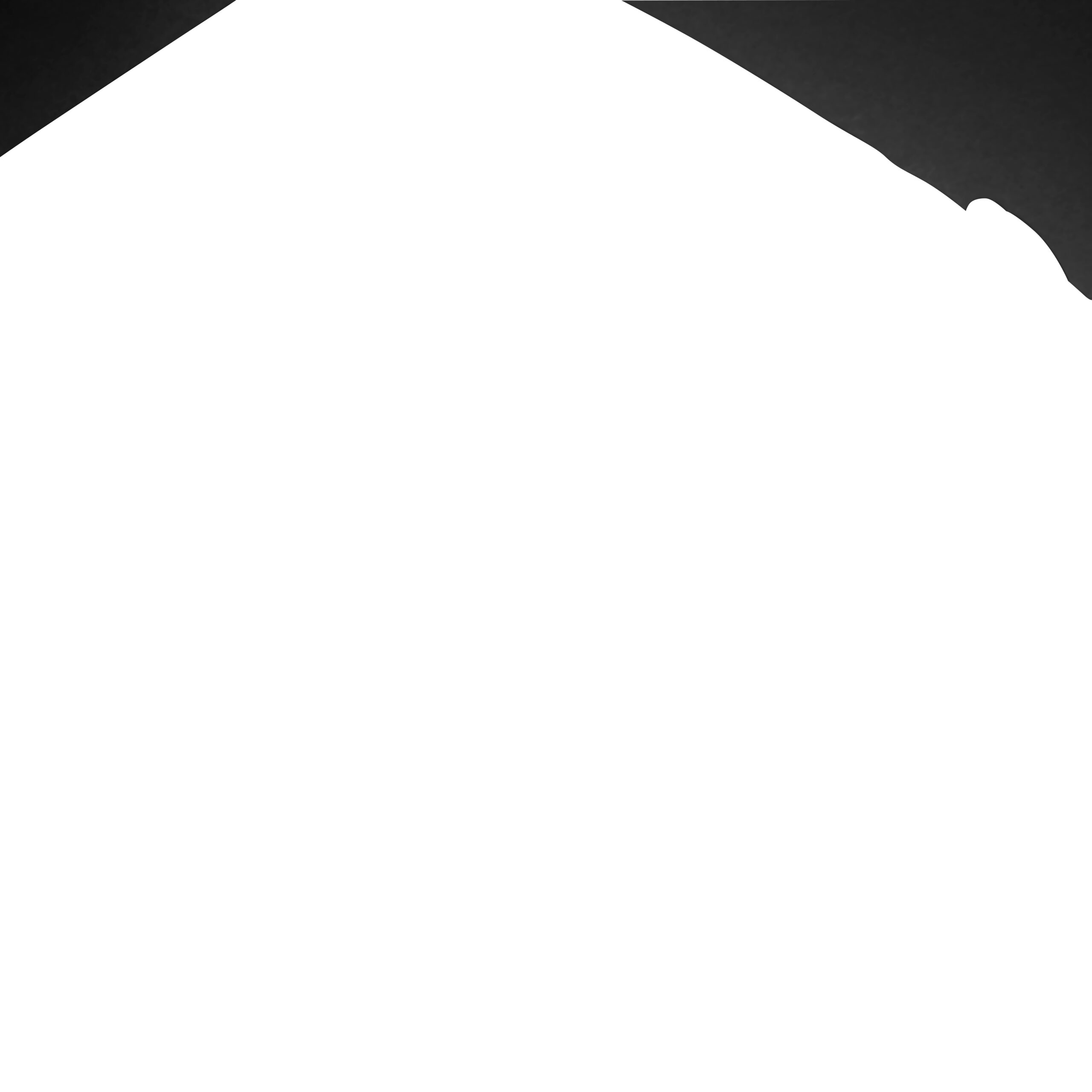 HP Professional 17,3-inch rugzak - Afbeelding 13