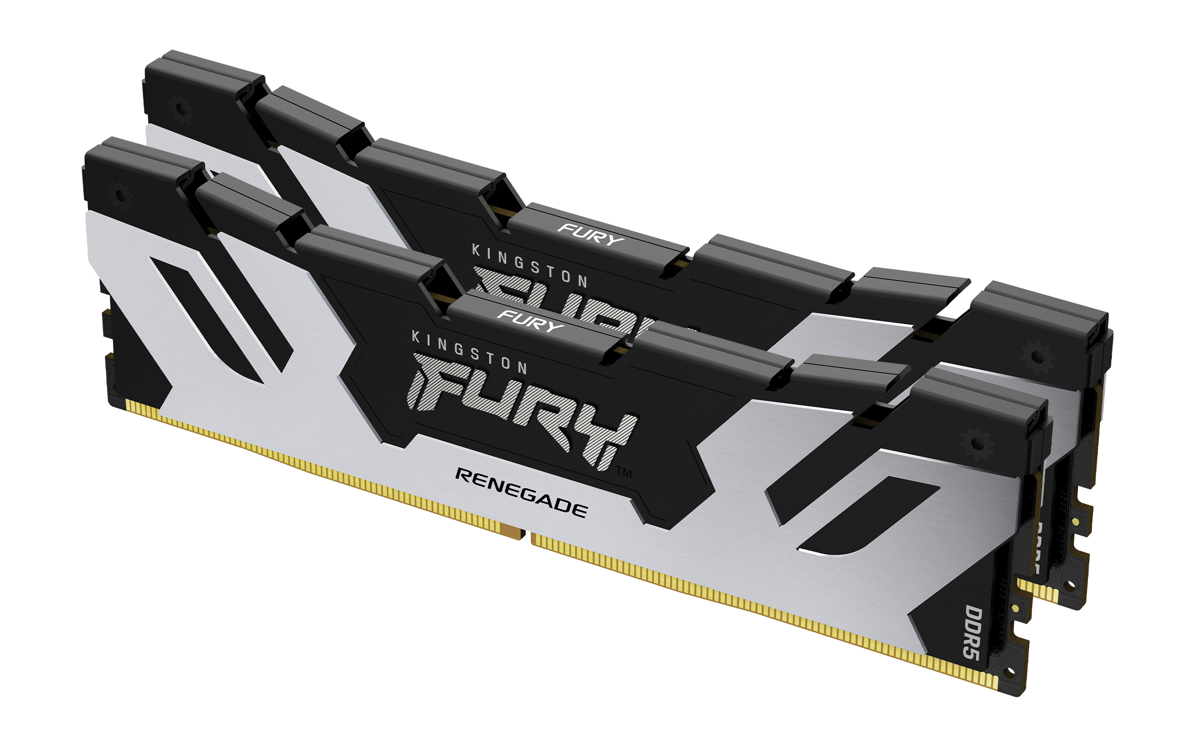 Kingston Technology FURY 32GB 6400MT/s DDR5 CL32 DIMM (set van 2) Renegade Zilver