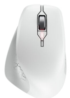 CHERRY JW-8550-0 muis Universeel Rechtshandig RF Draadloos Optisch 4000 DPI - Afbeelding 2