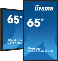 iiyama TF6539AS-B1AG computer monitor 163,8 cm (64.5") 3840 x 2160 Pixels 4K Ultra HD LED Touchscreen Zwart