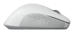 CHERRY JW-8550-0 muis Universeel Rechtshandig RF Draadloos Optisch 4000 DPI - Afbeelding 7