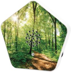 Olympia Sound of Nature Box 1 Stk.
