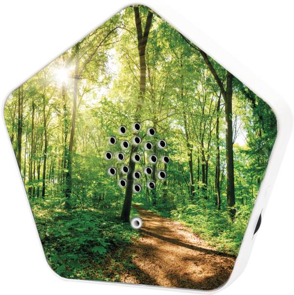 Olympia Sound of Nature Box 1 Stk.