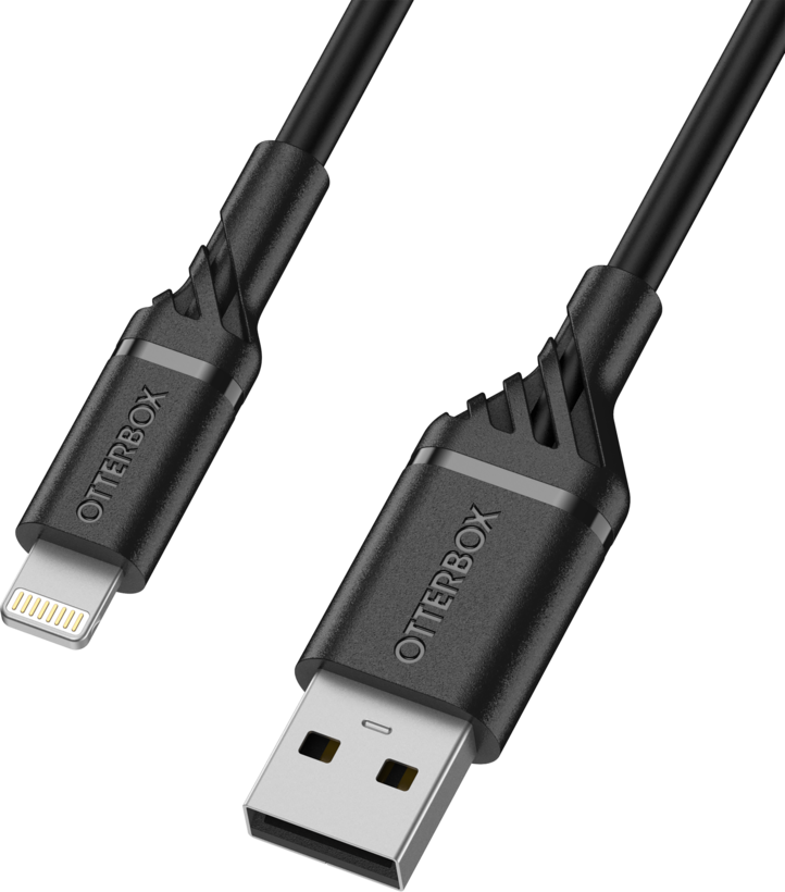 Cable USB A-Lightning 1M Black