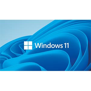 Win 11 Home 64Bit French 1pk DSP OEI DVD