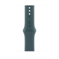 Apple Watch 42 Lake Green Sb M/L