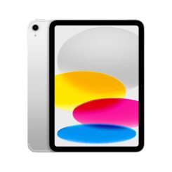 iPad Wi-Fi Cell 256GB Silver